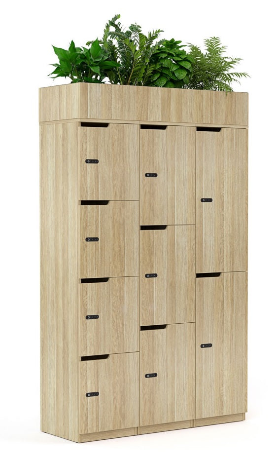 Smart Commercial Lockers
