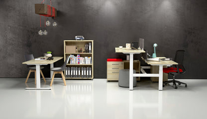 Individual Electric Height Adjustable Desk 3 Column Agile