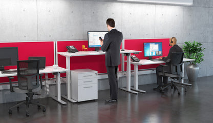 Individual Electric Height Adjustable Desk 2 Column Agile